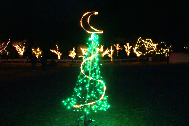 mimaillumination_greentree.jpg