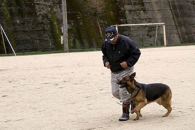 policedog_trainer_running.jpg
