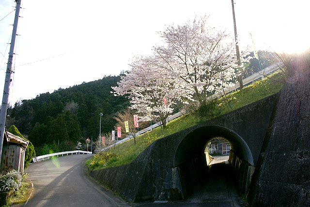 sogawaspring_tunnel.jpg