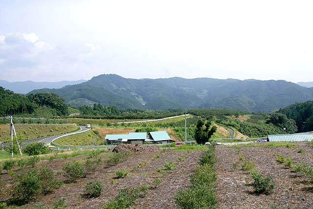 uchiko_ecofarm_field.jpg