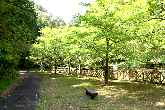 yusukawa_kohazapark2.jpg