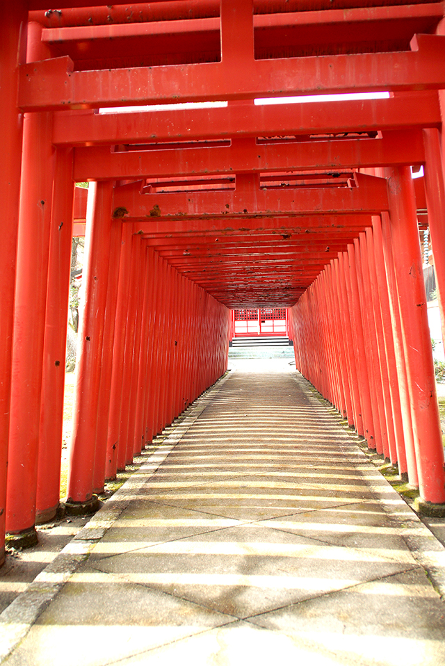 imabarijo_fukiagejinja_torii.jpg