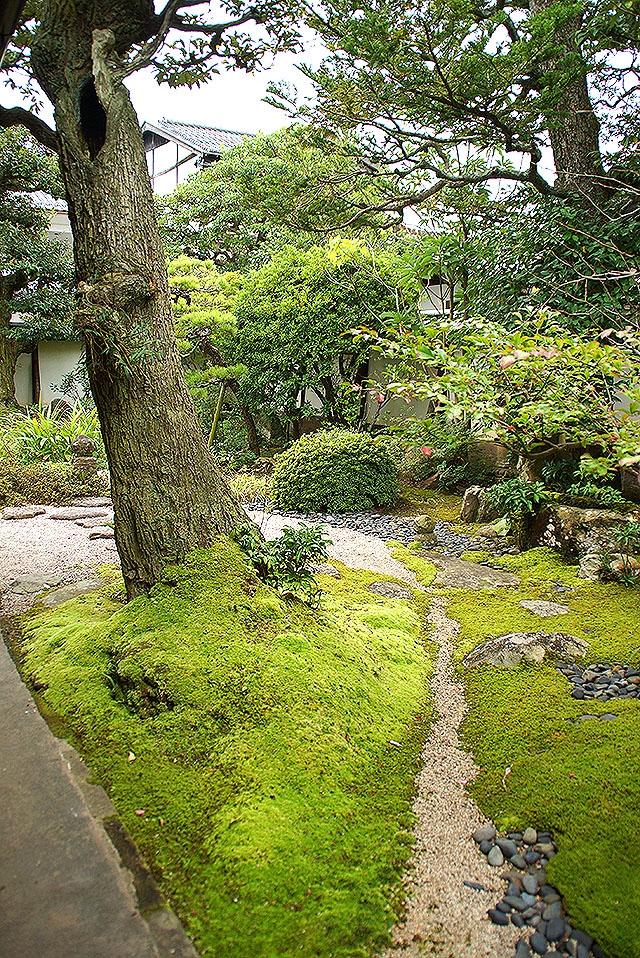 yakumohouse_garden_west.jpg