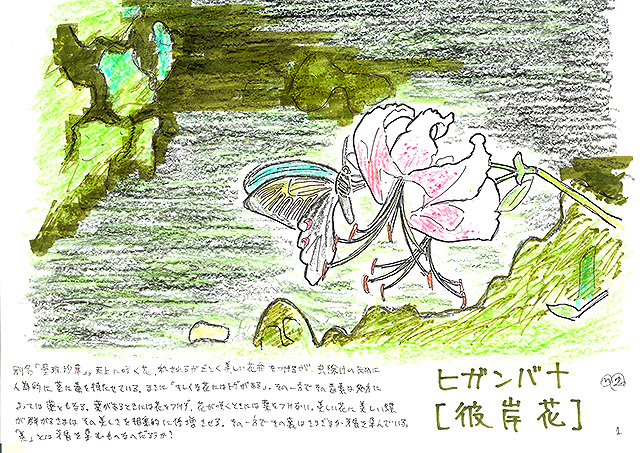 todoroki_plant_sketch1.jpg